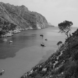 http://ada95000.free.fr/Images/cassis256.jpg